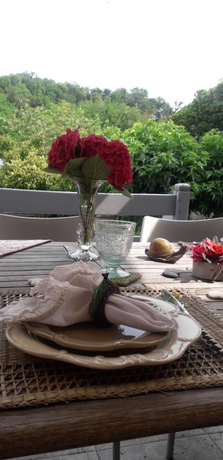 Bed and Breakfast Cote Jardin Périgueux Zewnętrze zdjęcie