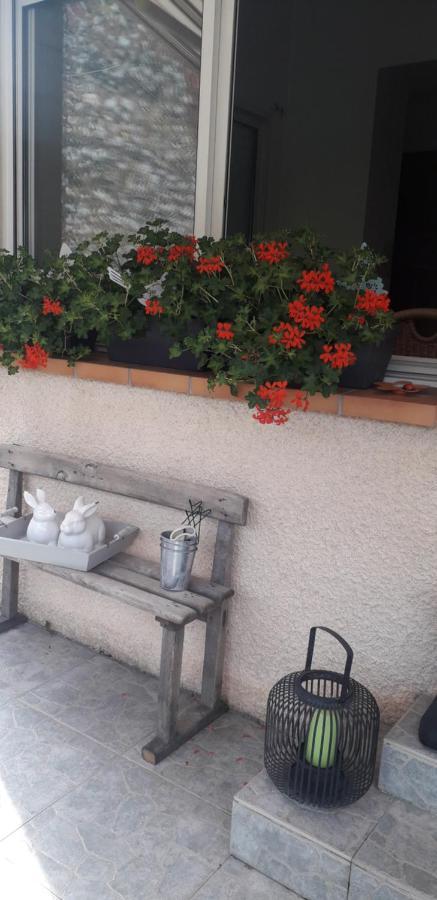 Bed and Breakfast Cote Jardin Périgueux Zewnętrze zdjęcie